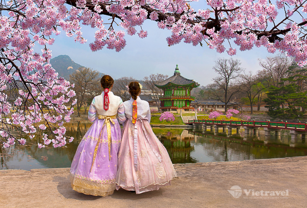 Hàn Quốc: Seoul - Công viên Everland -  Đảo Nami - Busan - Tháp Busan - Cầu Kính Oryukdo Skywalk (4 đêm khách sạn, Trải nghiệm tàu cao tốc KTX) | Mùa Hoa Anh Đào